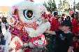 365_Chinese_New_Year_160213_small.jpg