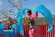 194_CNY2017_170204_small.jpg