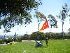 easterEggHunt_9101_small.jpg