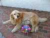 easterEggHunt_9105_small.jpg