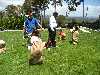 easterEggHunt_9152_small.jpg